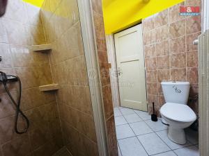 Pronájem ubytování, Ostrava - Zábřeh, Šamanova, 250 m2