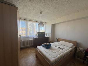 Prodej bytu 2+1, Nymburk, Dědinova, 51 m2