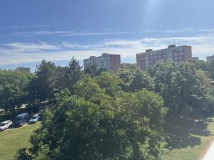 Prodej bytu 2+1, Nymburk, Dědinova, 51 m2