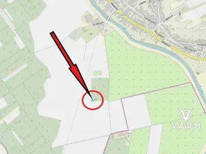 Prodej lesa, Nosislav, 376 m2