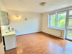 Pronájem bytu 1+kk, Brno, Hrázka, 40 m2