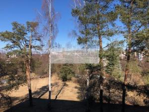 Pronájem bytu 1+1, Žďár nad Sázavou, Komenského, 35 m2