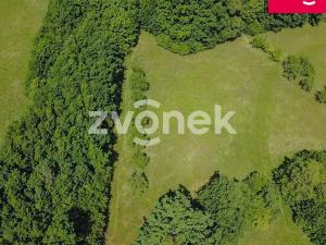 Prodej louky, Vizovice, Těchlov, 7426 m2