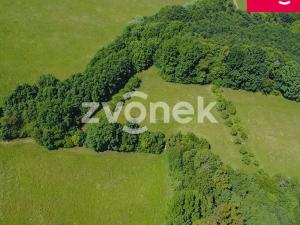 Prodej louky, Vizovice, Těchlov, 7426 m2