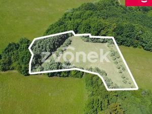 Prodej louky, Vizovice, Těchlov, 7426 m2