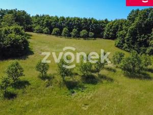 Prodej louky, Vizovice, Těchlov, 7426 m2