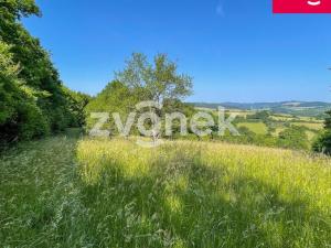 Prodej louky, Vizovice, Těchlov, 7426 m2