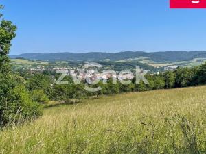 Prodej louky, Vizovice, Těchlov, 7426 m2