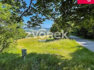 Prodej louky, Vizovice, Těchlov, 7426 m2