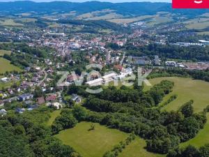 Prodej louky, Vizovice, Těchlov, 7426 m2