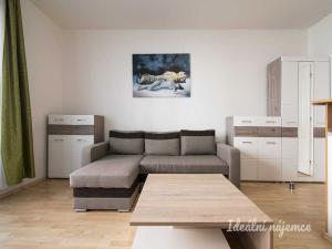 Pronájem bytu 1+kk, Praha - Záběhlice, Mikanova, 29 m2