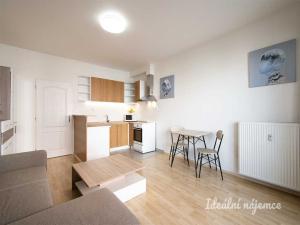 Pronájem bytu 1+kk, Praha - Záběhlice, Mikanova, 29 m2