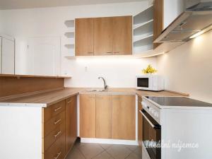 Pronájem bytu 1+kk, Praha - Záběhlice, Mikanova, 29 m2