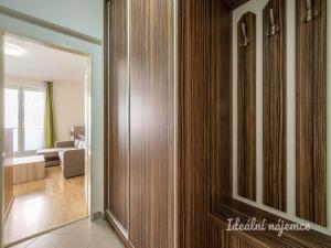 Pronájem bytu 1+kk, Praha - Záběhlice, Mikanova, 29 m2
