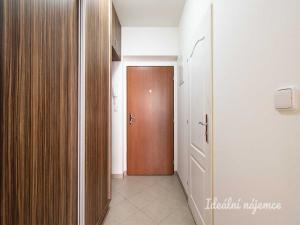 Pronájem bytu 1+kk, Praha - Záběhlice, Mikanova, 29 m2