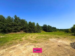 Prodej pozemku pro bydlení, Olšany, 2035 m2