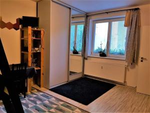 Pronájem bytu 1+1, Brno, Štěpánská, 33 m2