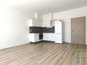 Pronájem bytu 3+kk, Brno - Židenice, Gajdošova, 62 m2