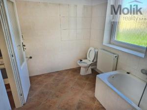 Pronájem bytu 2+1, Teplice - Trnovany, Štúrova, 52 m2