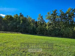 Prodej pozemku pro bydlení, Soběnov, 5997 m2
