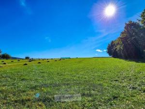 Prodej pozemku pro bydlení, Soběnov, 5997 m2