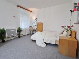 Pronájem bytu 1+1, Liberec - Liberec III-Jeřáb, Americká, 28 m2