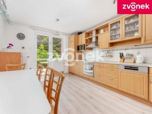 Prodej rodinného domu, Březnice, 207 m2