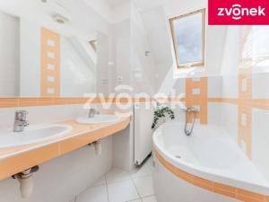 Prodej rodinného domu, Březnice, 207 m2