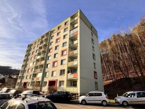 Prodej bytu 2+1, Děčín - Děčín IX-Bynov, Na Pěšině, 63 m2