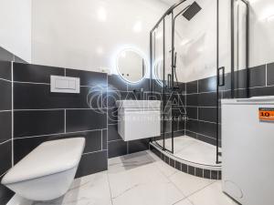 Pronájem bytu 1+kk, Praha - Žižkov, Milíčova, 33 m2