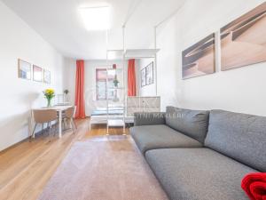 Pronájem bytu 1+kk, Praha - Žižkov, Milíčova, 33 m2