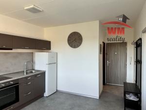 Prodej bytu 1+1, Karlovy Vary - Rybáře, Požární, 35 m2