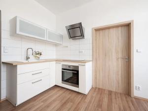 Pronájem bytu 1+1, Brno, Olomoucká, 45 m2
