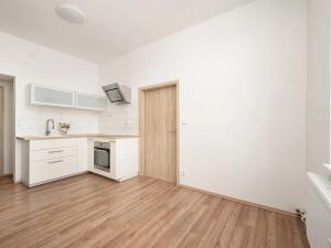 Pronájem bytu 1+1, Brno, Olomoucká, 45 m2