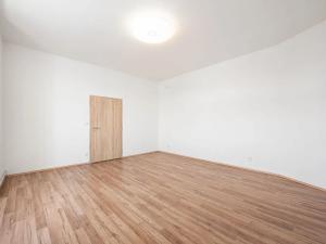 Pronájem bytu 1+1, Brno, Olomoucká, 45 m2