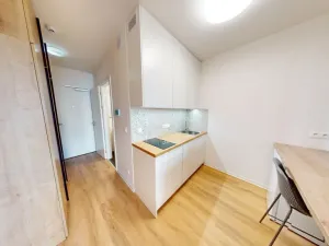 Pronájem bytu 1+kk, Praha - Břevnov, Na Větrníku, 27 m2
