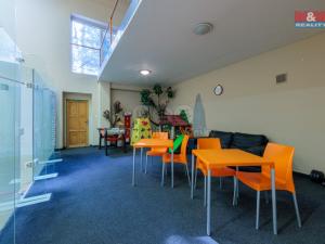Prodej komerční nemovitosti, Karlovy Vary - Stará Role, Truhlářská, 464 m2