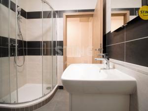 Pronájem bytu 1+kk, Jihlava, Slovenská, 46 m2