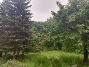 Prodej chaty, Velké Chvojno - Žďár, 36 m2