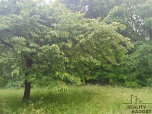 Prodej chaty, Velké Chvojno - Žďár, 36 m2