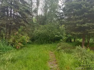 Prodej chaty, Velké Chvojno - Žďár, 36 m2