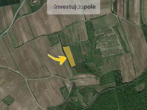 Prodej louky, Horní Věstonice, 8391 m2
