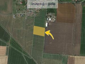 Prodej pole, Dobrovice - Sýčina, 4058 m2