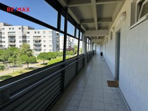 Pronájem bytu 2+kk, Praha - Černý Most, Marešova, 56 m2