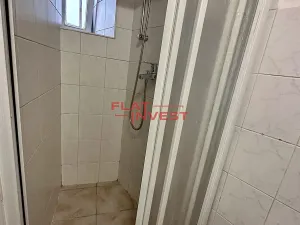 Pronájem bytu 1+1, Praha - Žižkov, Milíčova, 26 m2
