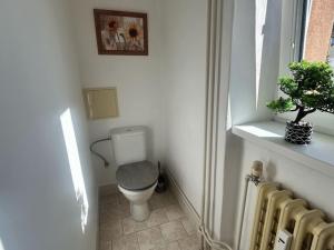Pronájem bytu 2+1, Trutnov - Horní Staré Město, U Hřiště, 59 m2