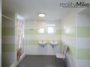 Prodej ubytování, Dobrovice, 500 m2