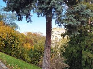 Pronájem bytu 1+kk, Praha - Nové Město, Tyršova, 24 m2