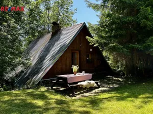 Prodej chalupy, Rokytnice v Orlických horách - Nebeská Rybná, 140 m2