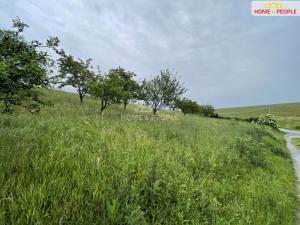 Prodej pozemku pro bydlení, Trubín, Na Višňovce, 1255 m2